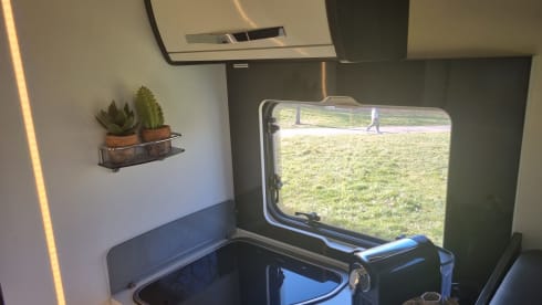 5p Roller Team semi-integrated from 2019