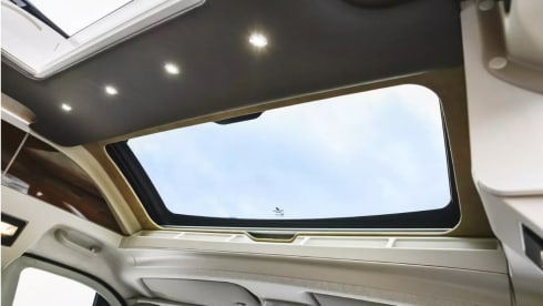 Beautiful Mobilvetta Admiral 6.5 (Sunflower)