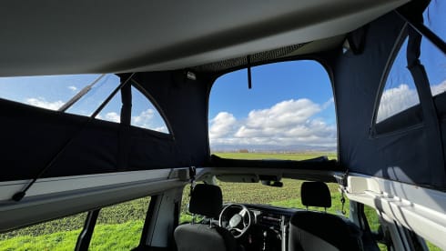 Der Noble – VW T6 California Beach, automatic