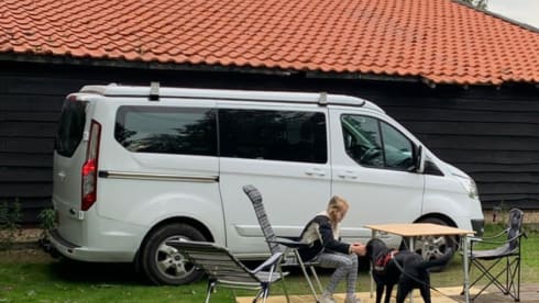 4p Ford campervan uit 2017