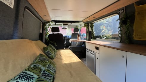 Surfbus Kees  – 4p Volkswagen campervan uit 2012