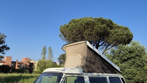 DANDY β VW T3 MITO SENZA TEMPO