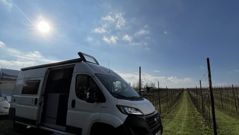 Zwijndrecht_Vantwerp – Fiat Chausson V594 