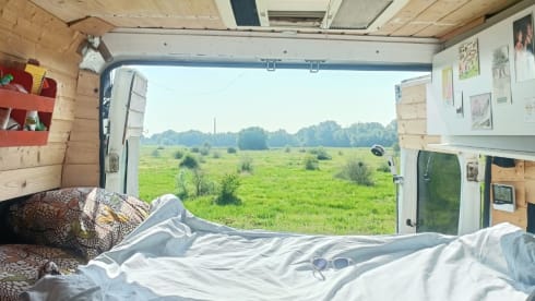 2p Citroën bus uit 2026