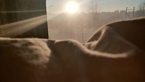 Zula – Luxe Glamper Zula – Home on Wheels voor 2 personen & pets!