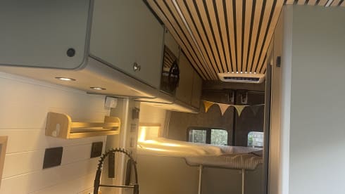 Van-Essa – 3/4 berth Ford bus from 2021