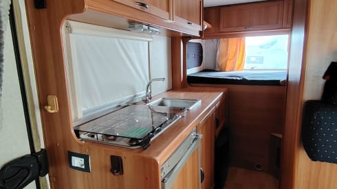 Marlin 65 – Elnagh Marlin 65