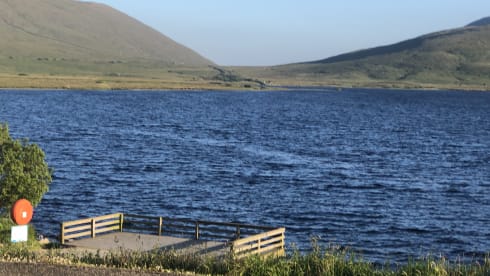 BETTY – ELDDIS VOGUE 155