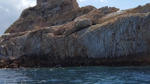 Bodo  – Camper directly delivered to the island of Elba