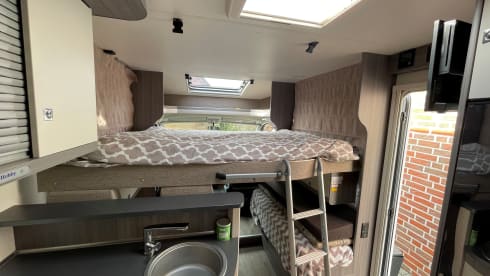 Free Living – 4p Citroën other from 2020