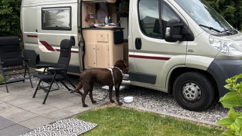 Ons Campertje – 2-person Fiat bus from 2009