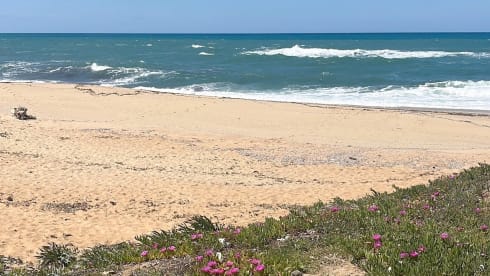 Hakuna matata – Mansardato Laika