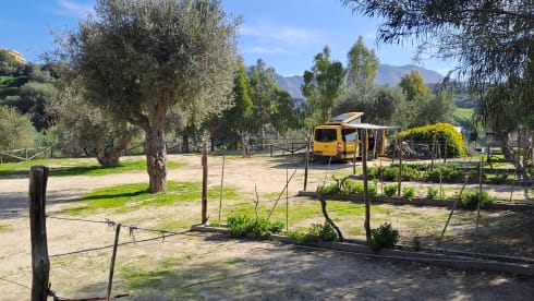 Großer Bus, unser Yello-U-Boot