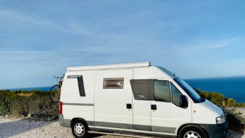 Missy 🚐💚 – 2p Fiat bus uit 2005