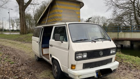 Olle – Tough T3 with powerful diesel engine