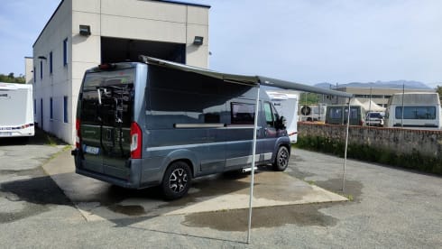 Living Stone 2 – LAIKA Ecovip 300