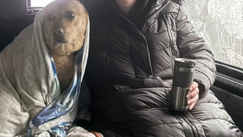 Wild Wanderer – 4-persoons Volkswagen camper uit 2016