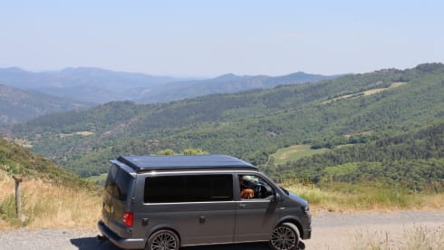 Nelly – 4 berth 2017 VW T6 Camper