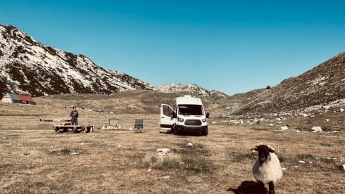 Paule – Get into your VanLife experience with our Paule!