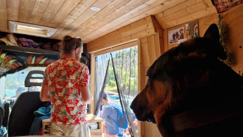 Leeuwke – Minibus Peugeot 2 places de 2014