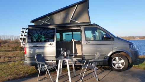 Grijs – Volkswagen T5 California Bus camper with pop-top roof.