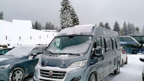 Cliffy – Bereit für neue Abenteuer?