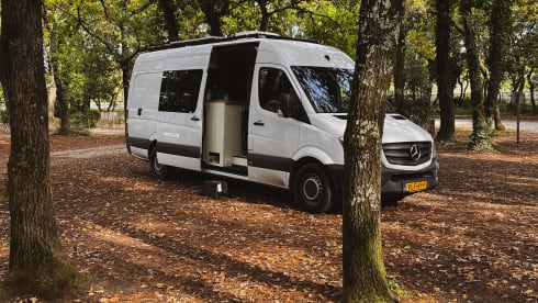 2-person Mercedes-Benz bus from 2016