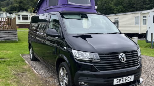 Lily – Lily - T6.1 Adventure Transporter