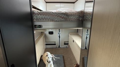 Bus Fiat 2P à partir de 2026