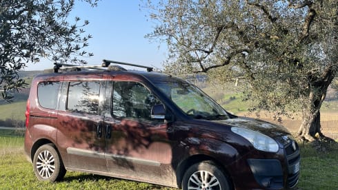 Alba – Practical and comfortable Doblo