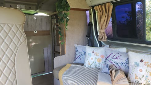 Blanche – Combi VW classique à pare-brise divisé, 2 couchages
