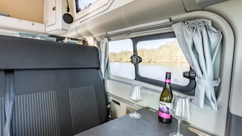 klein maar dapper  – 2 Ford bus nugget from 2019