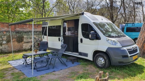 QPO "Zo wijd de wereld strekt"        " – Reliable and well-maintained bus camper.