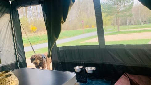 Koosie – 4p Hymer integriert ab 2026