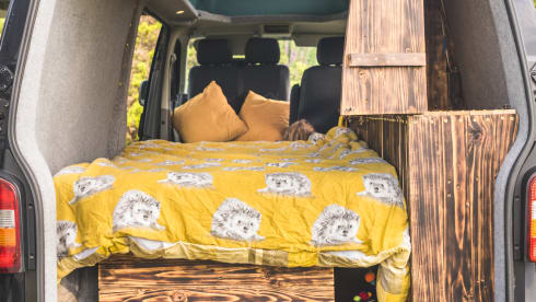 Ringo – VW Transporter -  Poptop Campervan