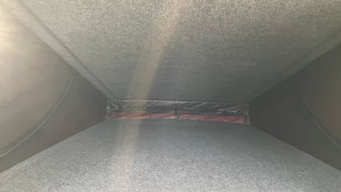 Ernie – Volkswagen-Campingbus mit 4 Schlafplätzen ab 2021