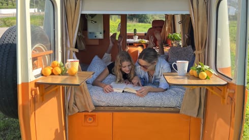 Laranja – Rent a  Blue Classics’s Combi J9