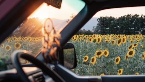 Sol –  T4 Volkswagen Westfalia California & positive vibes