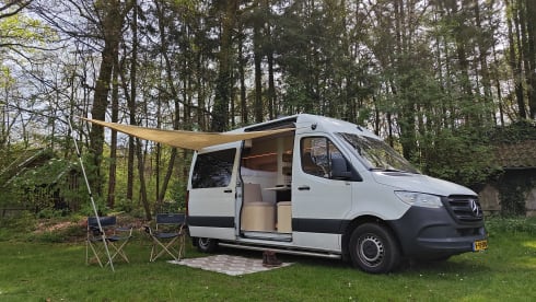 Freddie – Freddie der Abenteuerbus!!