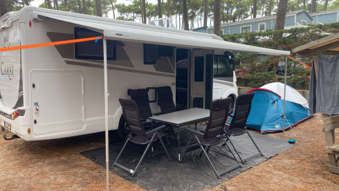 DELPORTE CYCLING – 5p McLouis CARAT 879 from 2025