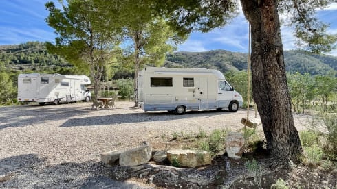 4p Rimor semi-intégré de 2001