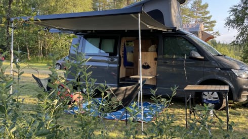 Aster – 4p Volkswagen campervan from 2024