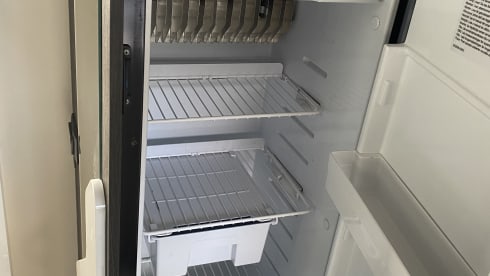 5p Roller Team semi-integrated from 2019