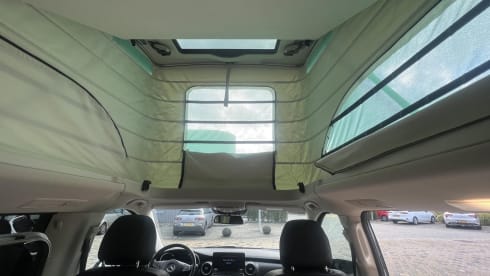 Marco Polo – 4p Mercedes-Benz bus from 2020