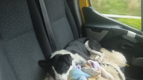 Citroentje – Citroentje, campervan for climbers and outdoor fans