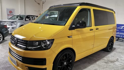 Bee – Meet Bee - VW CamperVan T6