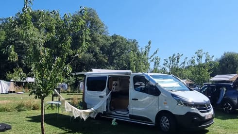 Van_dewereld – Van_dewereld - converted Renault Campervan