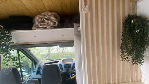 Pauline – 3 berth Ford campervan from 2015