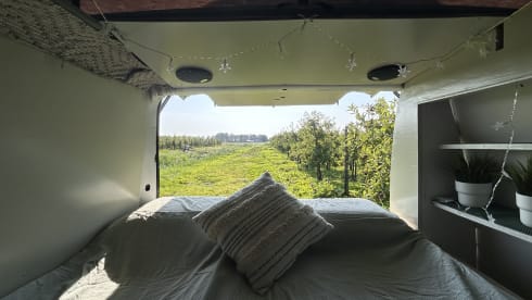 Betty – GoBetty: 2p Volkswagen campervan LWB