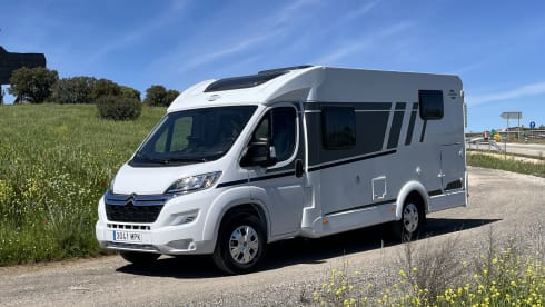 Van 337 – 3p Carado bus from 2024